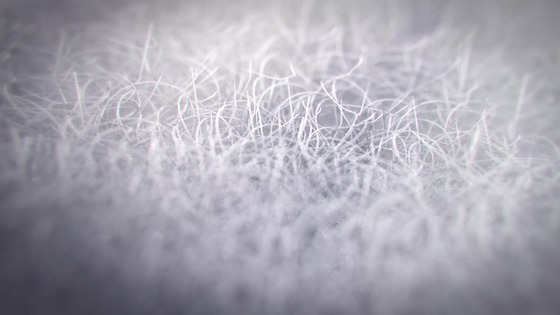 Alpha Tauri fibers | Multi Awesome Studio