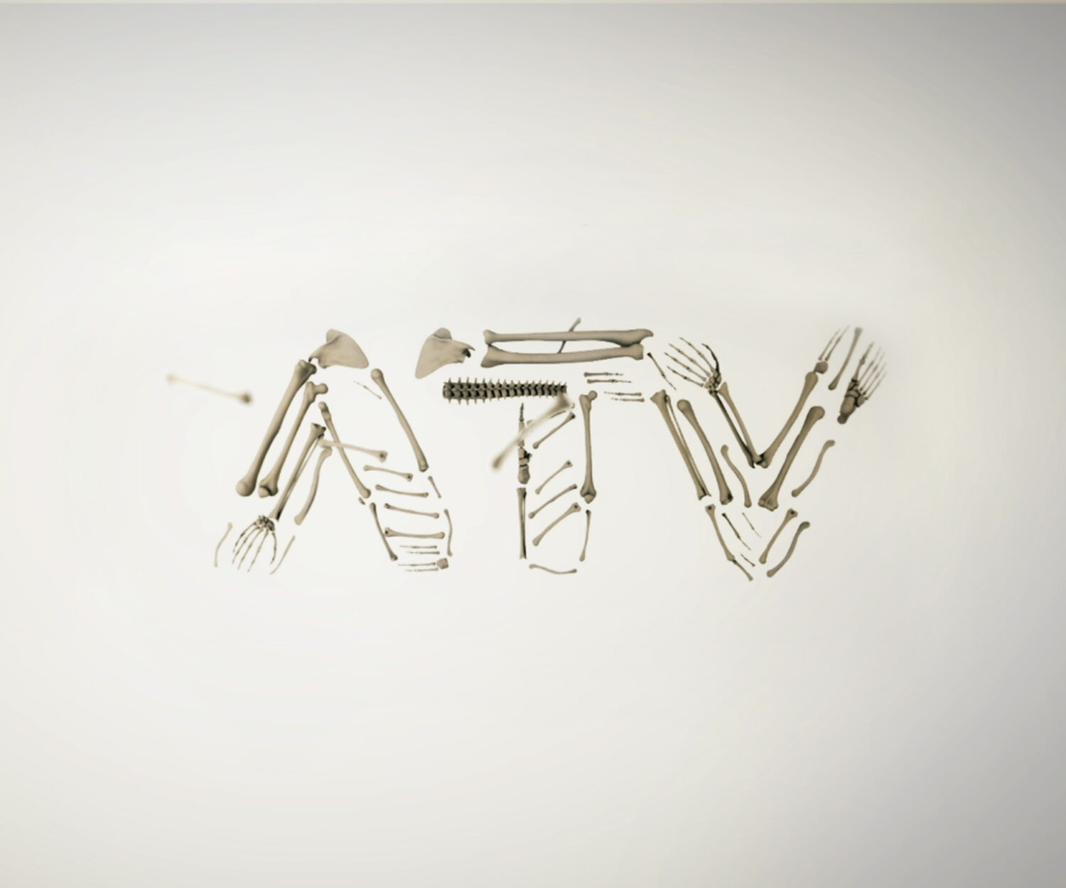 ATV bones logo | Multi Awesome Studio