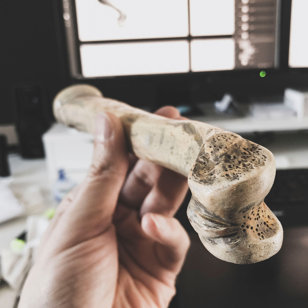 carved bone detail | Multi Awesome Studio