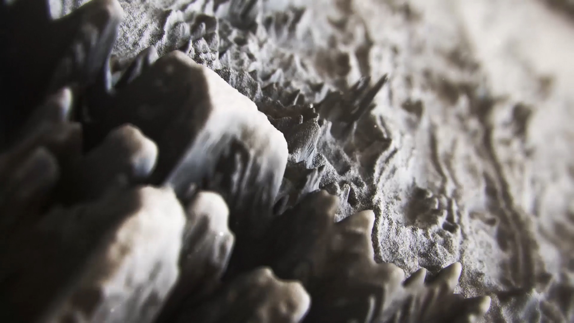 Showreel 2020 | Multi Awesome Studio