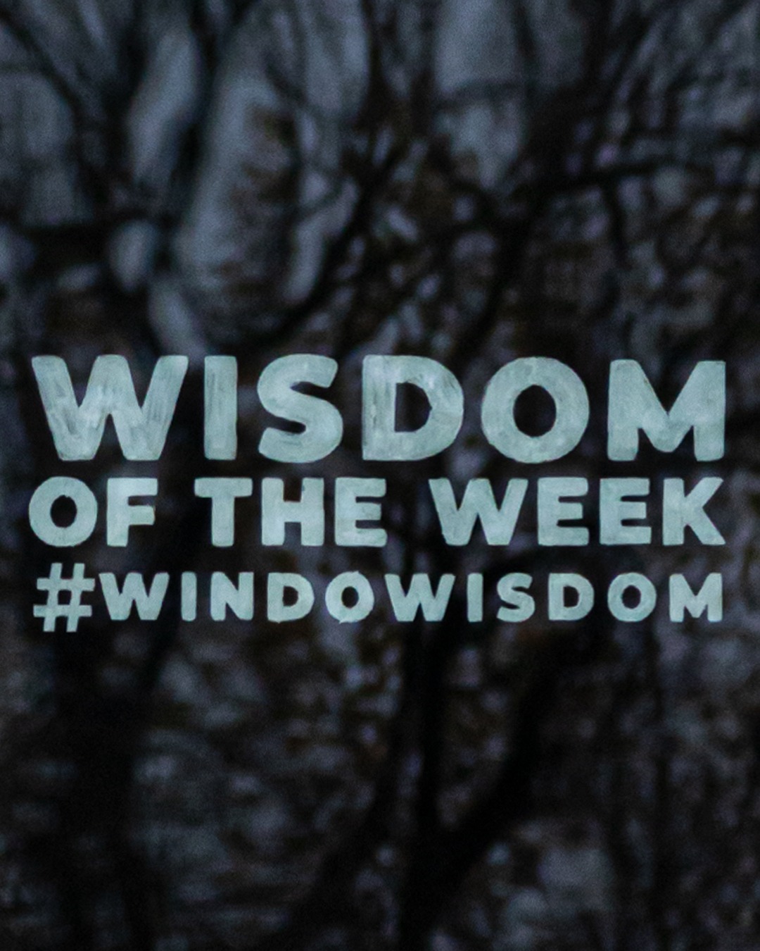 wisdom of the week | Multi Awesome Studio